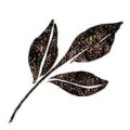 Wink of Stella Brush II S-BLACK kwadrat.jpg