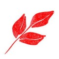 Wink of Stella Brush II S-RED kwadrat.jpg