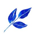 Wink of Stella Brush II S-BLUE kwadrat.jpg