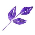 Wink of Stella Brush II S-VIOLET kwadrat.jpg