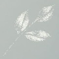 Wink of Stella Brush II S-CLEAR kwadrat.jpg