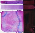 Kuretake Gansai Tambi 775 Granulating Aurora Violet WZORNIK.JPG