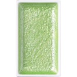 Kuretake Gansai Tambi 751 PEARL MAY GREEN