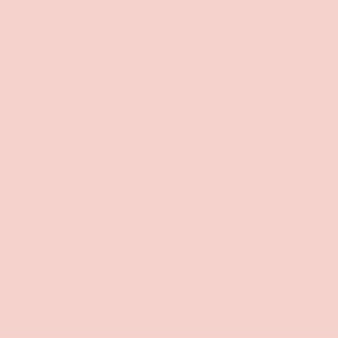 KURETAKE FINE&BRUSH FOR MANGA PALE PINK 202 kolor.JPG