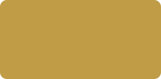 KURETAKE FINE&BRUSH FOR MANGA OCHRE 153