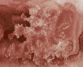 61b9075bc99c5a29b44361939ef56832