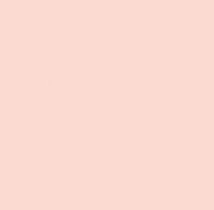 KURETAKE FINE&BRUSH FOR MANGA PALE BLUSH 742