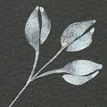 Wink of Stella Brush II S-WHITE kwadrat.jpg