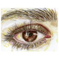 Kuretake ZIG Clean Color Real Brush 6kolorów Portrait Colors II  RB-6000AT6VE oko.jpg