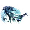 Fluid-Graphite_02.jpg