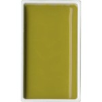 Kuretake Gansai Tambi 405 GREEN GOLD