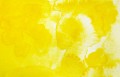 404-Saffron-Yellow.jpg