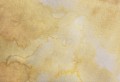 401-Flax-Beige.jpg