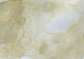 406-Beige-Gray.jpg