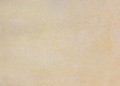 904-Champagne-gold.jpg