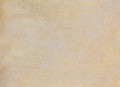 905-Light-Gold.jpg