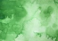 505-Ivy-Green.jpg