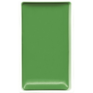 Kuretake Gansai Tambi 505 IVY GREEN