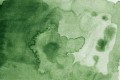 504-Green-Gray.jpg