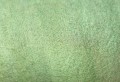 850-Gem-Green_.jpg