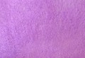 861-Gem-Violet_.jpg
