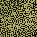 Kuretake Clean Color Dot Metallic 101 GOLD TC-8100 101 metaliczne złoto.jpg