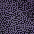 Kuretake Clean Color Dot Metallic 124 VIOLET TC-8100 124 metaliczny fiolet.jpg