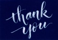 Kuretake ZIG Fudebiyori Pigment Milky White CBK-55P_01 Thank you.jpg